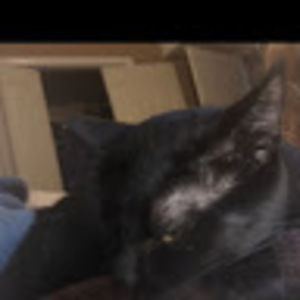 Meet your Posher, Lorena